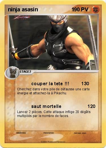 Pokemon ninja asasin                       1
