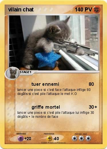 Pokemon vilain chat