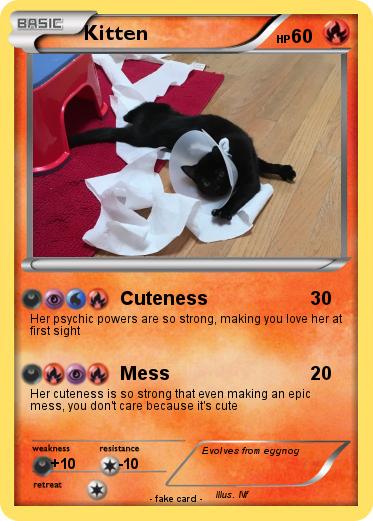 Pokemon Kitten