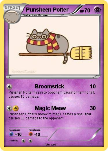 Pokemon Punsheen Potter