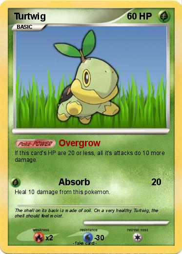 Pokemon Turtwig