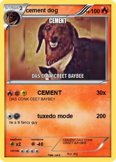 Pokemon cement dog