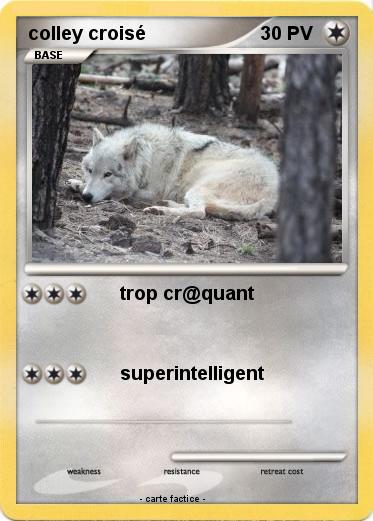 Pokemon colley croisé