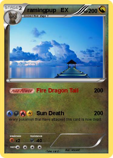 Pokemon ramingpup   EX