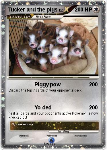Pokemon Tucker and the pigs