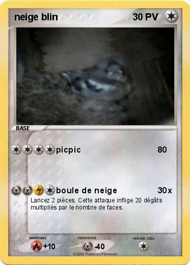 Pokemon neige blin