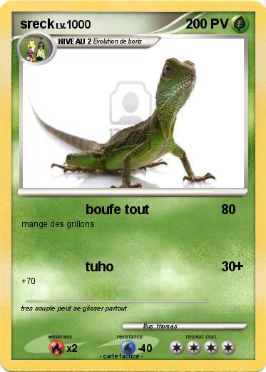 Pokemon sreck