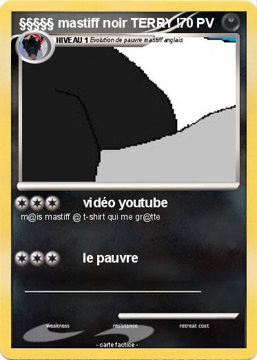 Pokemon §§§§§ mastiff noir TERRY !