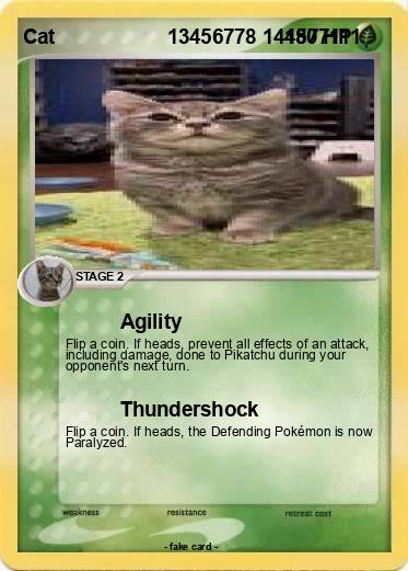 Pokemon Cat                    13456778 144577111
