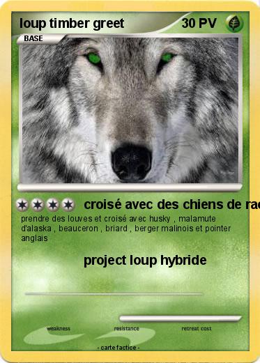 Pokemon loup timber greet