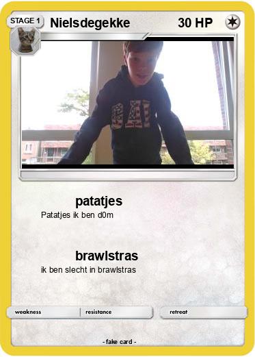 Pokemon Nielsdegekke