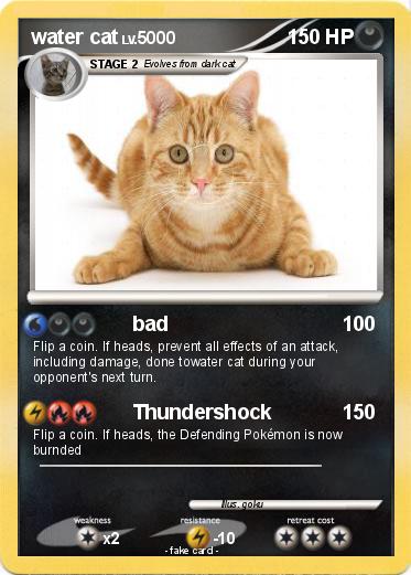 Pokemon water cat