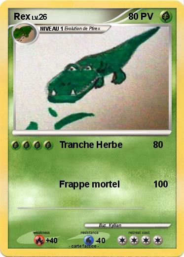Pokemon Rex