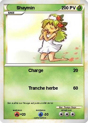 Pokemon Shaymin