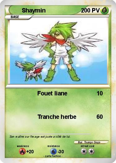 Pokemon Shaymin
