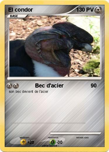 Pokemon El condor
