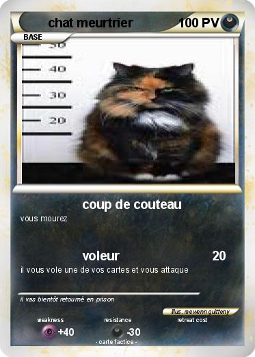 Pokemon chat meurtrier