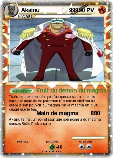 Pokemon Akainu                   999