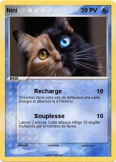 Pokemon Nini
