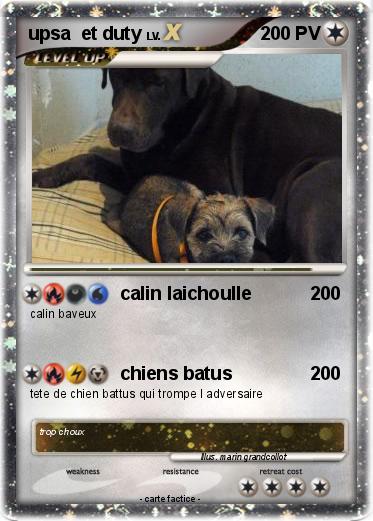 Pokemon upsa  et duty