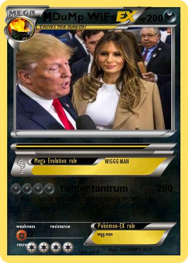 Pokemon DuMp WiFe