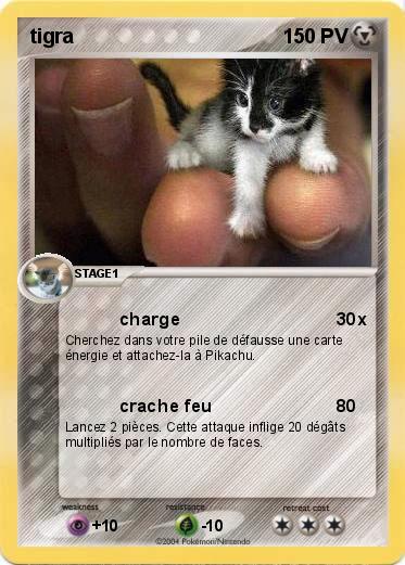 Pokemon tigra