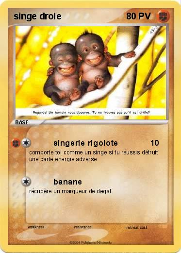 Pokemon singe drole