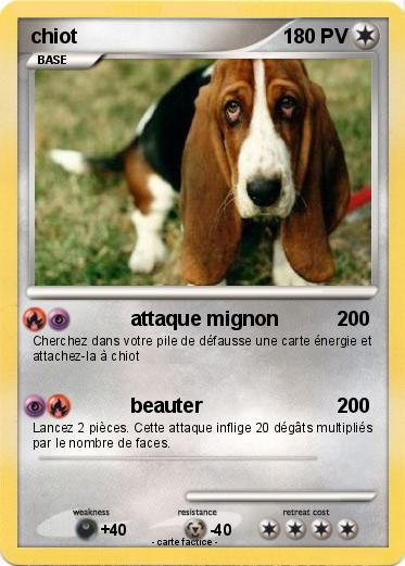 Pokemon chiot