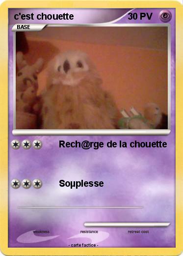 Pokemon c'est chouette