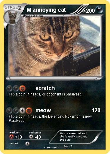 Pokemon M annoying cat