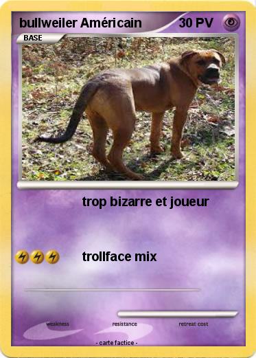 Pokemon bullweiler Américain