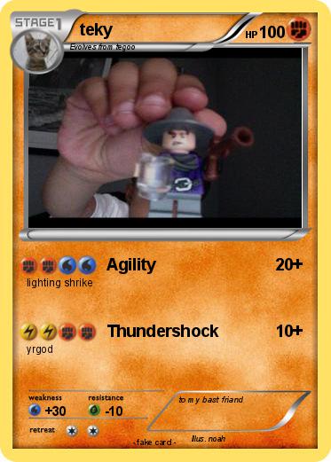 Pokemon teky