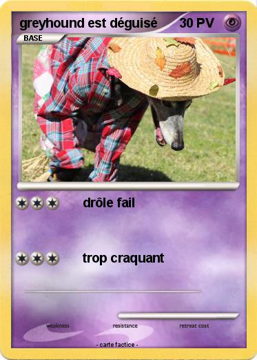 Pokemon greyhound est déguisé
