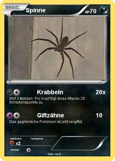 Pokemon Spinne