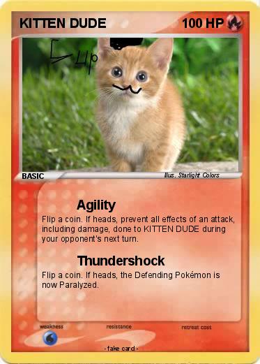 Pokemon KITTEN DUDE