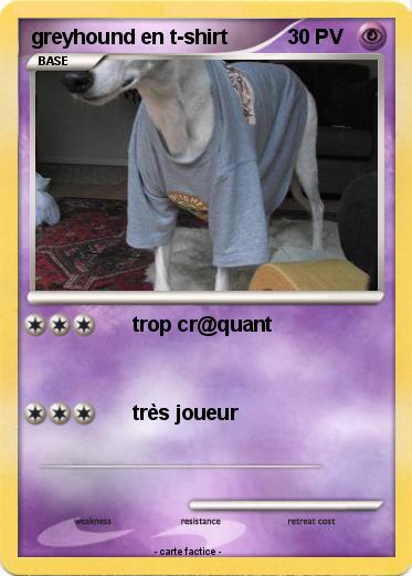 Pokemon greyhound en t-shirt