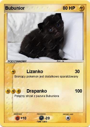 Pokemon Bubunior