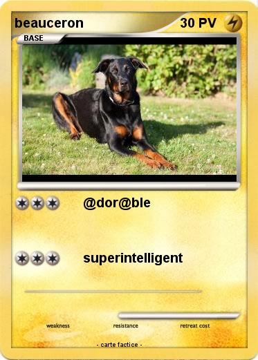 Pokemon beauceron