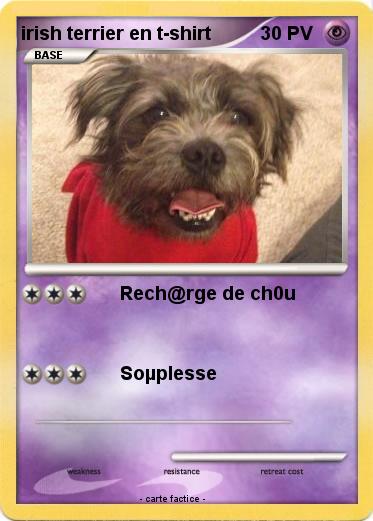 Pokemon irish terrier en t-shirt