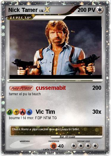 Pokemon Nick Tamer