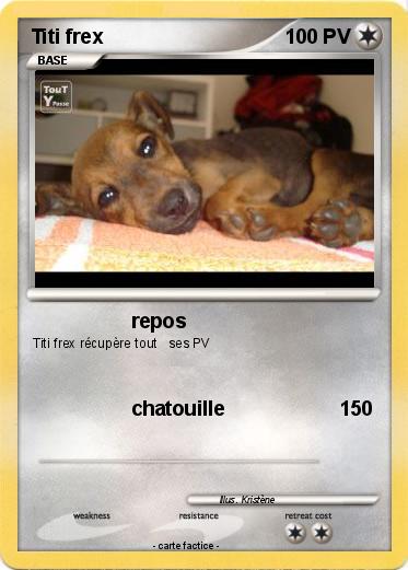 Pokemon Titi frex