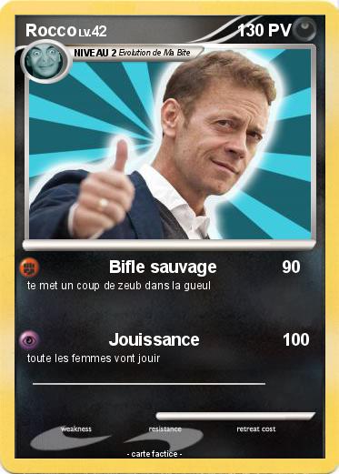 Pokemon Rocco