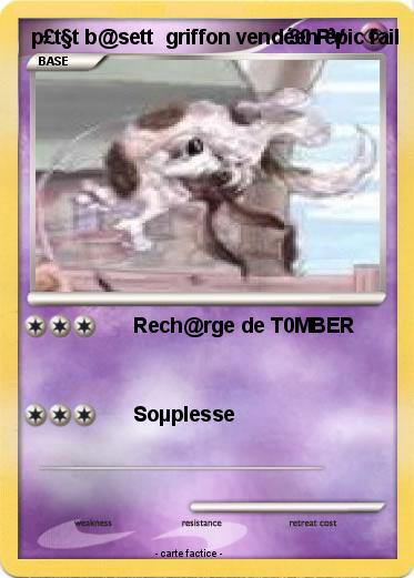 Pokemon p£t§t b@sett  griffon vendéen épic fail