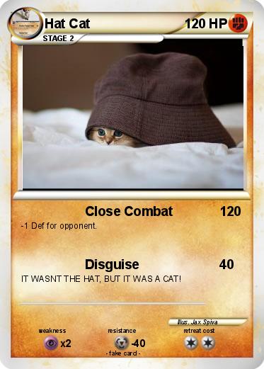 Pokemon Hat Cat
