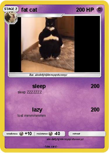 Pokemon fat cat
