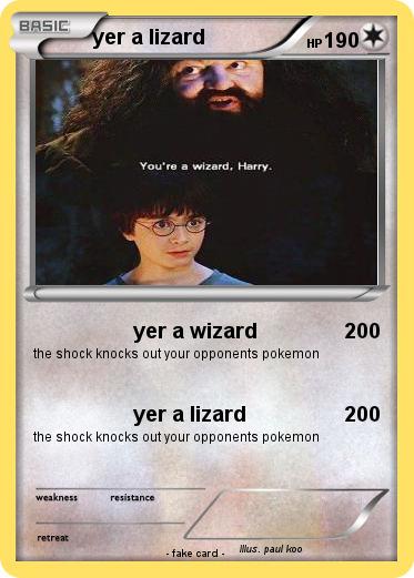 Pokemon yer a lizard