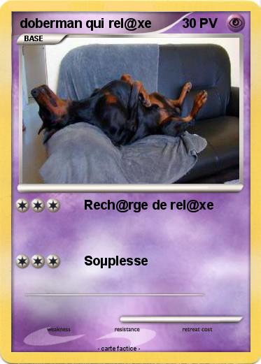 Pokemon doberman qui rel@xe