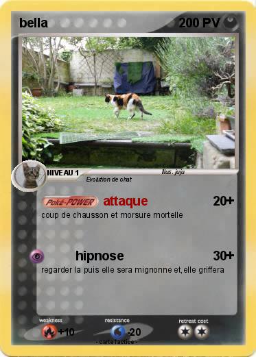 Pokemon bella