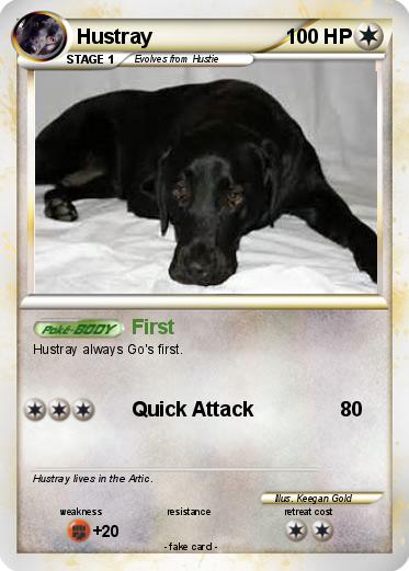 Pokemon Hustray