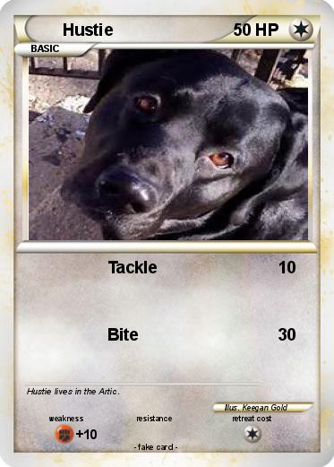 Pokemon Hustie